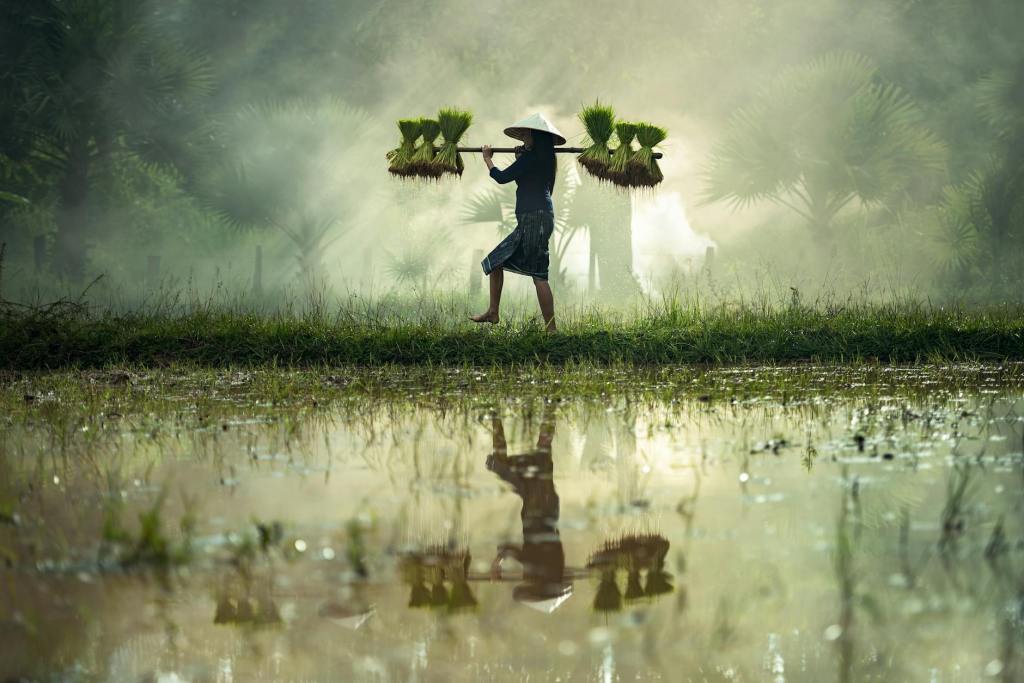 PH Allocates P1.3T to Boost Agriculture, Reduce Wastage, Ensure Food&nbsp;Security